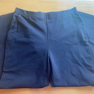 LL Bean Navy Blue Perfect Fit Pants Size Petite - Large